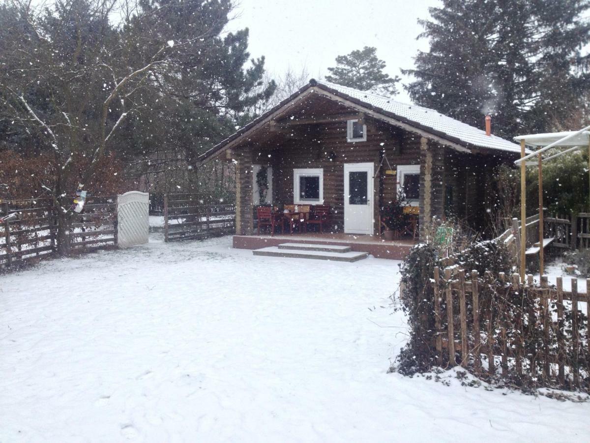 Gemuetliche Blockhuette In Wiennaehe Zofing Exterior foto
